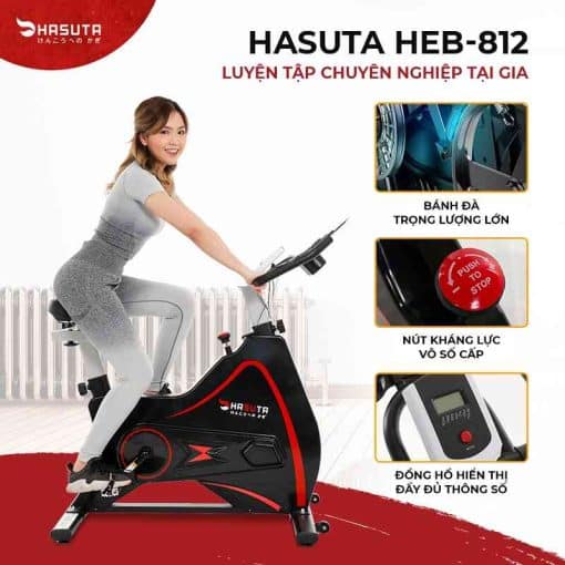 Xe Đạp Tập Thể Dục hasuta HEB-812